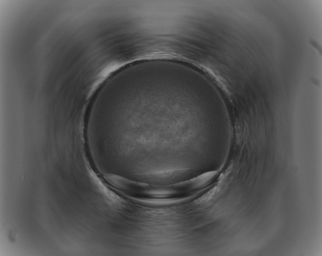 X0000091711422200708311105