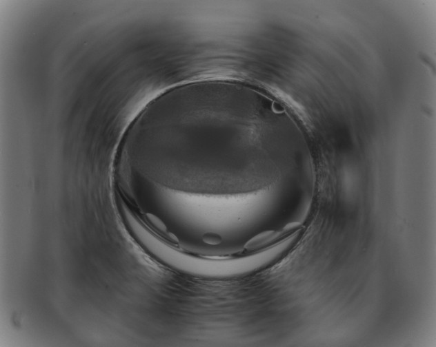 X0000091711423200708311105