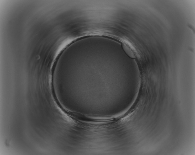 X0000091711424200708311105