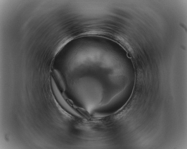 X0000091711425200708311105