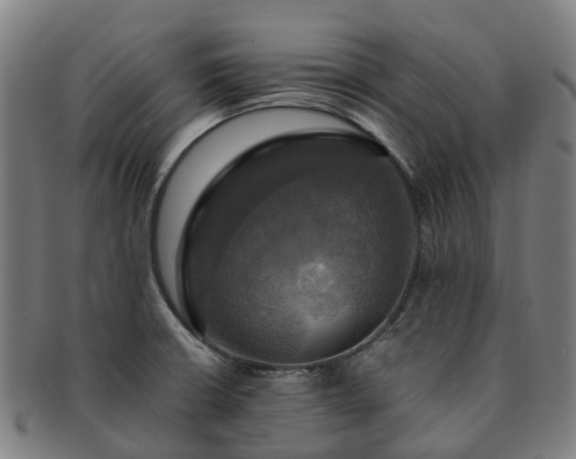 X0000091711426200708311105