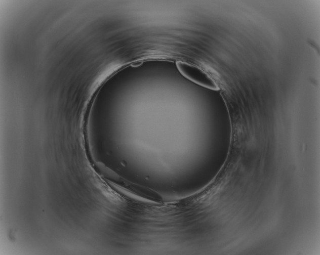 X0000091711427200708311105