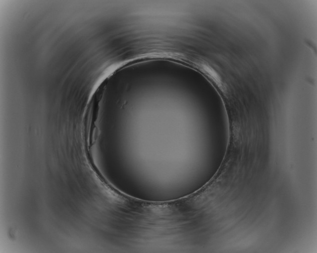 X0000091711428200708311105