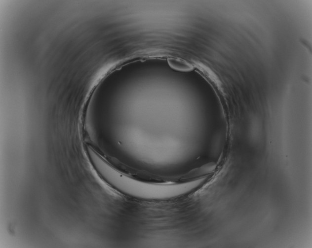 X0000091711429200708311105