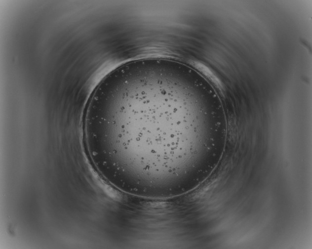 X0000091711431200708311105