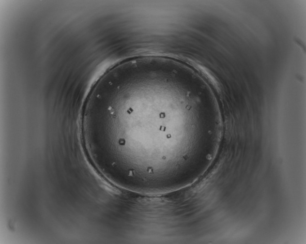 X0000091711432200708311105