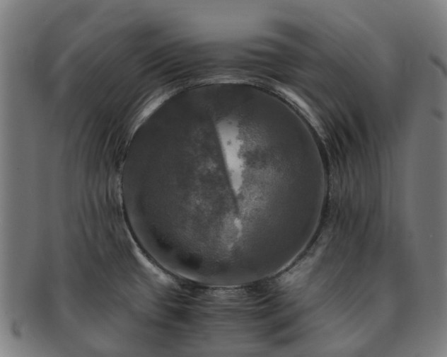 X0000091711433200708311105