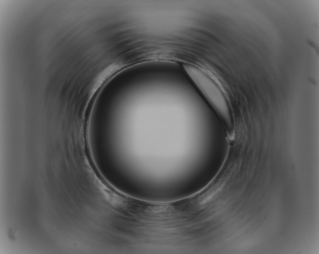 X0000091711434200708311105