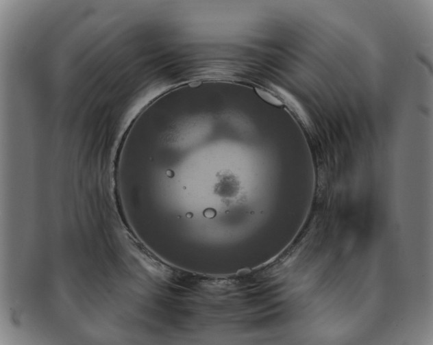 X0000091711435200708311105