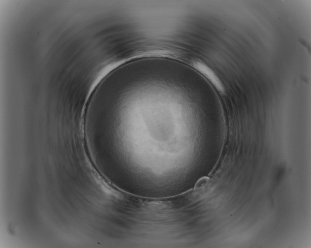 X0000091711436200708311105