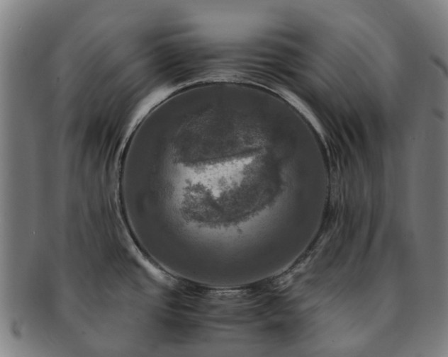 X0000091711437200708311105