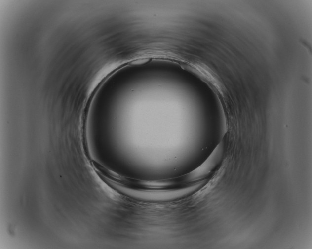 X0000091711438200708311105