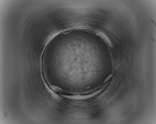 X0000091711439200708311105