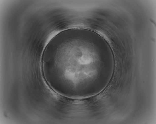 X0000091711440200708311105