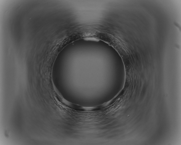 X0000091711441200708311105