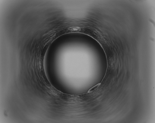 X0000091711442200708311105