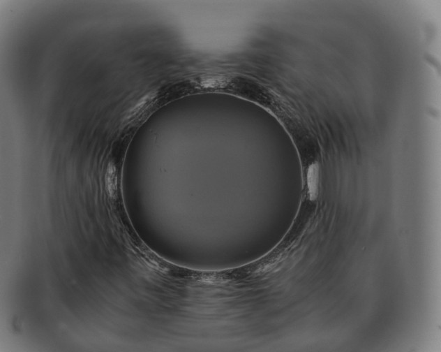 X0000091711443200708311105