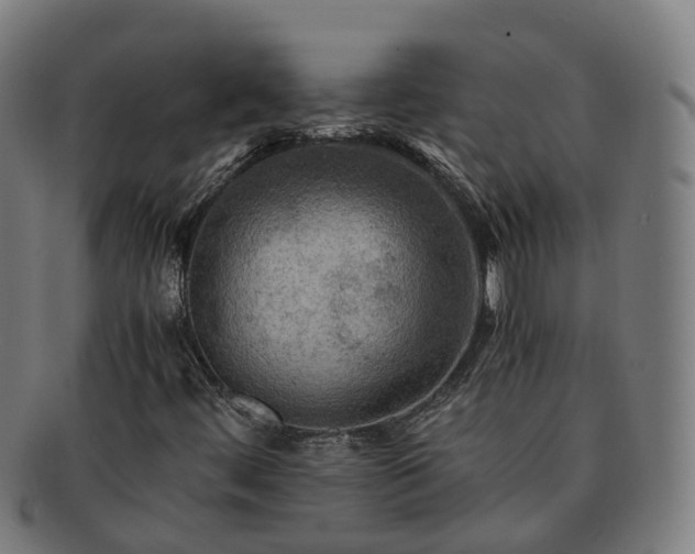 X0000091711444200708311105