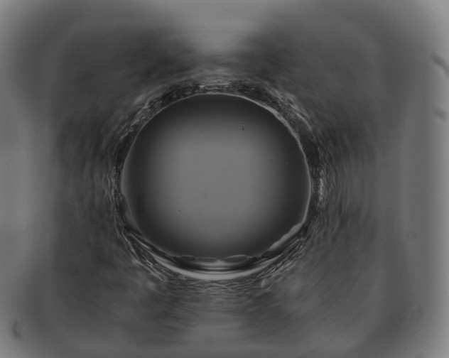 X0000091711445200708311105