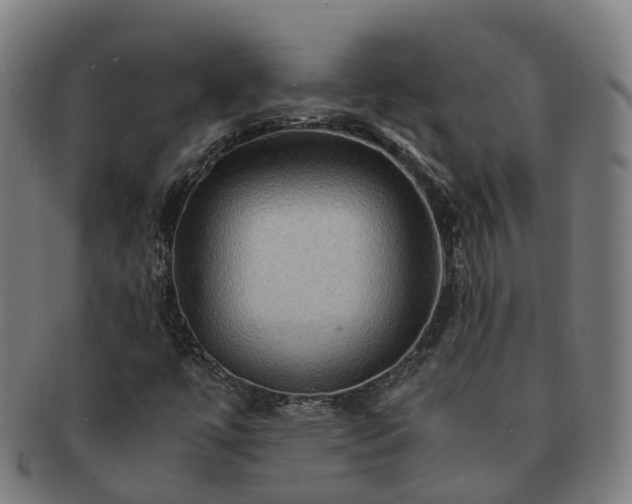 X0000091711447200708311105