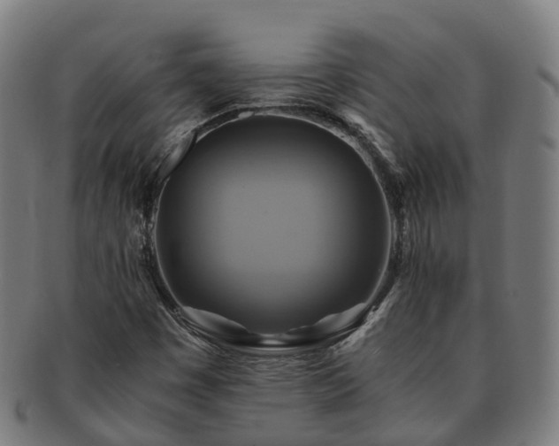 X0000091711449200708311105