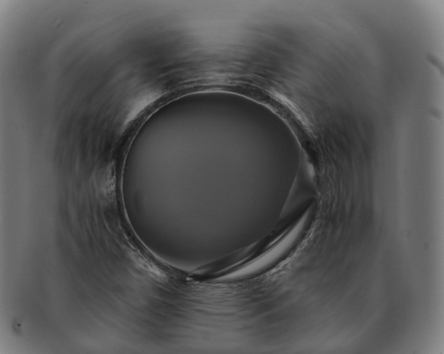 X0000091711450200708311105