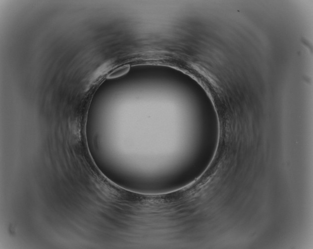 X0000091711451200708311105