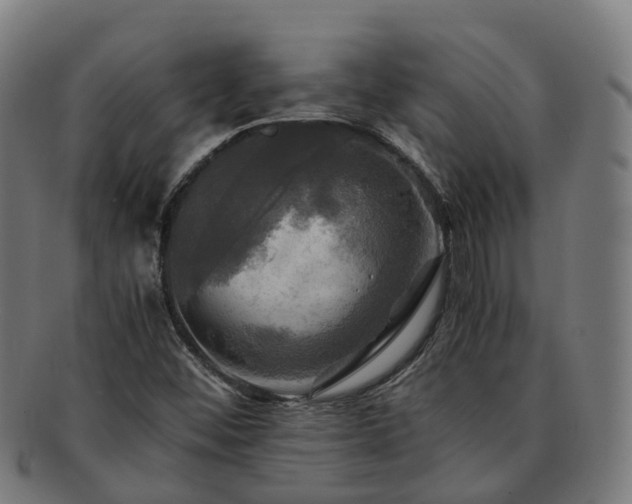 X0000091711452200708311105