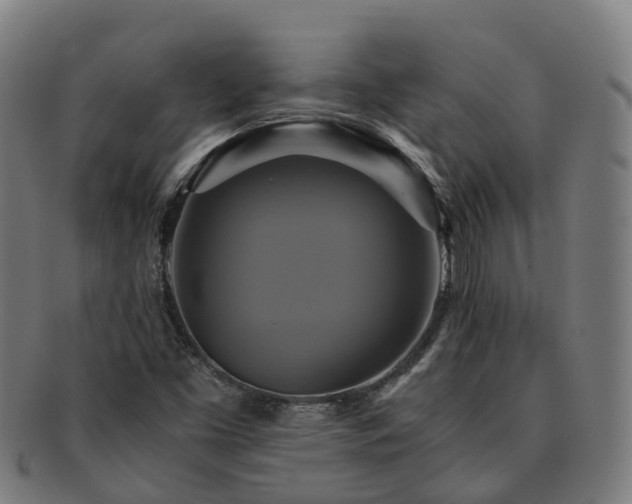 X0000091711453200708311105