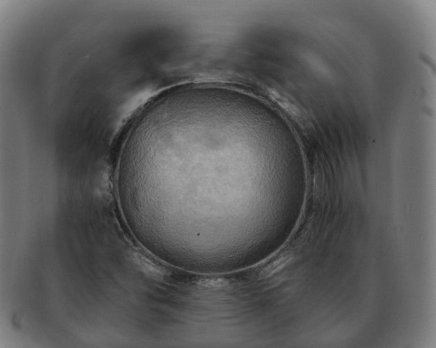 X0000091711454200708311105