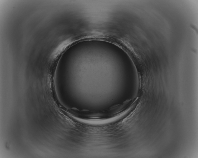 X0000091711455200708311105