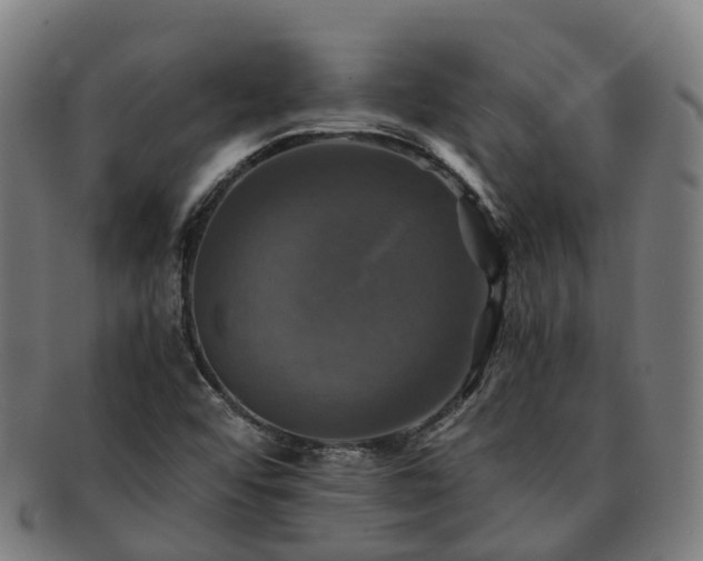 X0000091711456200708311105