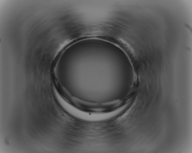 X0000091711457200708311105