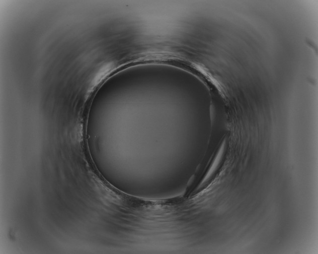 X0000091711459200708311104