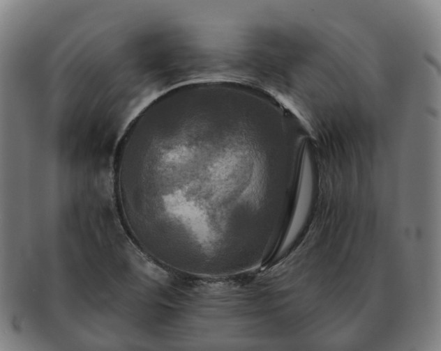 X0000091711460200708311104