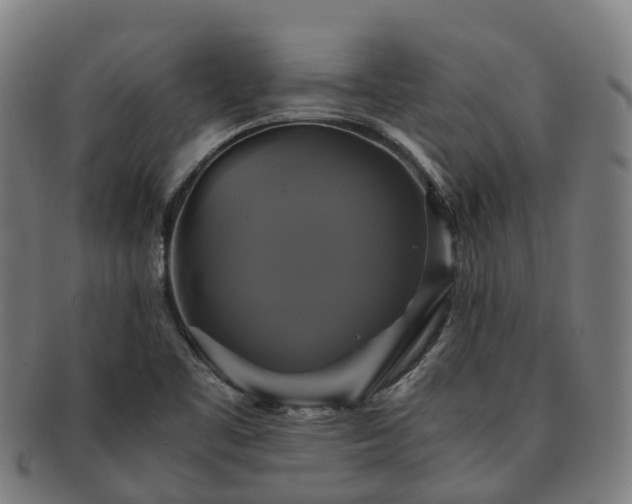 X0000091711461200708311104