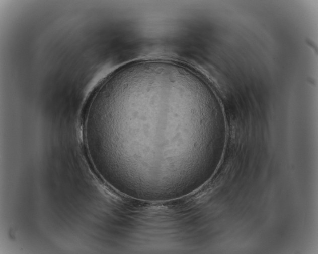 X0000091711462200708311104