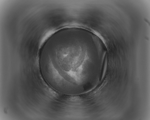 X0000091711464200708311104