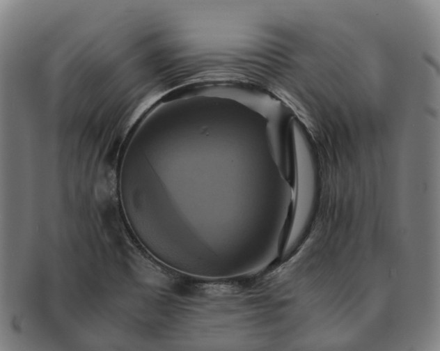 X0000091711465200708311104