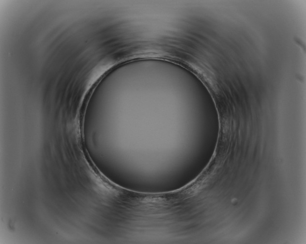 X0000091711466200708311104