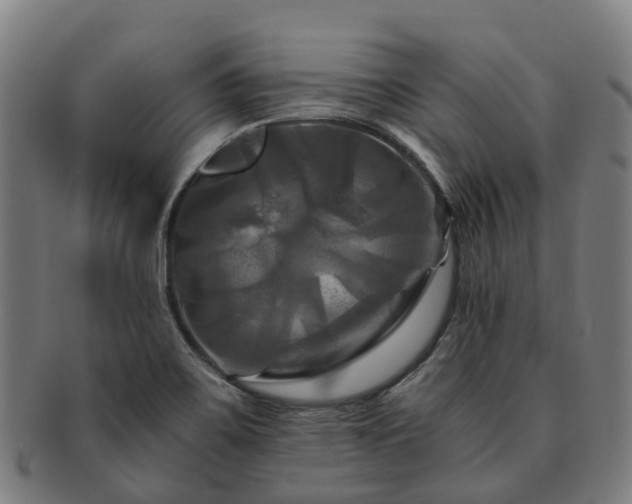 X0000091711467200708311104