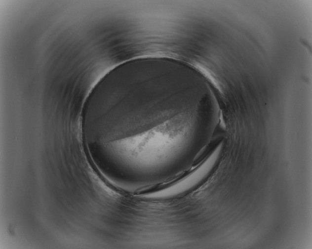 X0000091711468200708311104