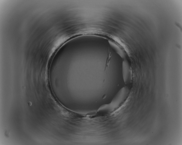 X0000091711469200708311104