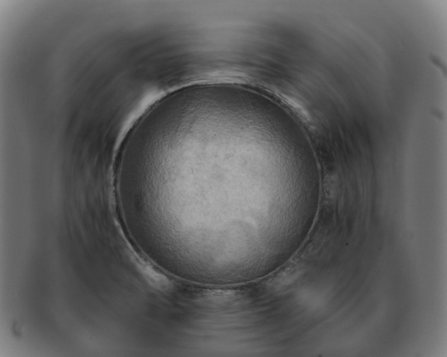 X0000091711470200708311104