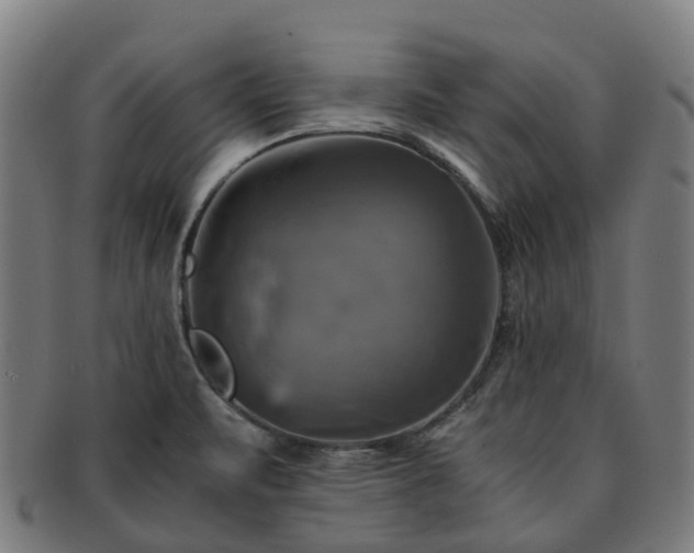 X0000091711471200708311104