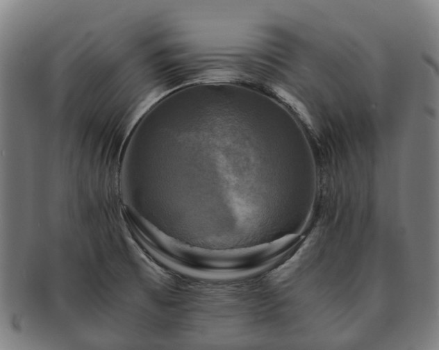 X0000091711473200708311104