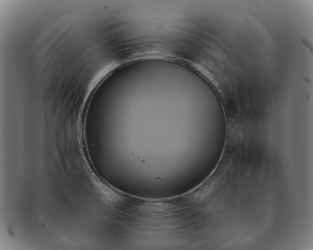 X0000091711474200708311104