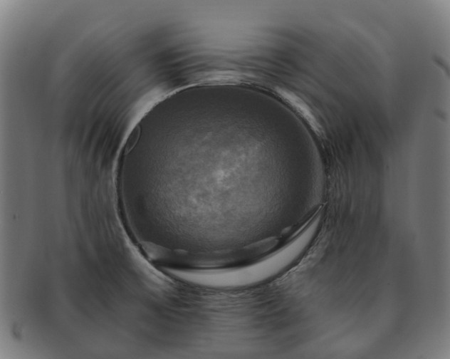 X0000091711475200708311104