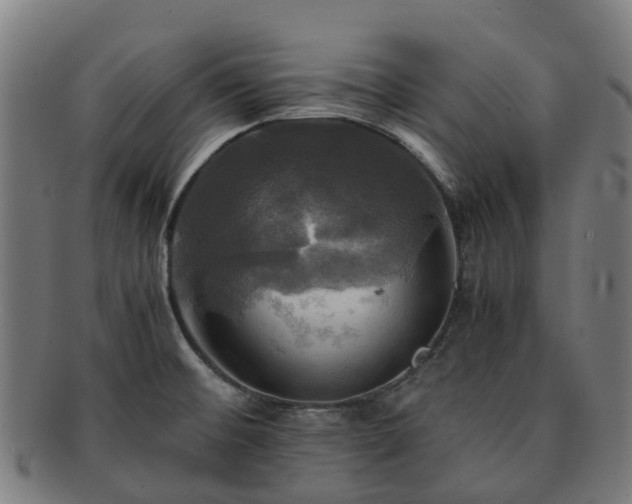 X0000091711476200708311104