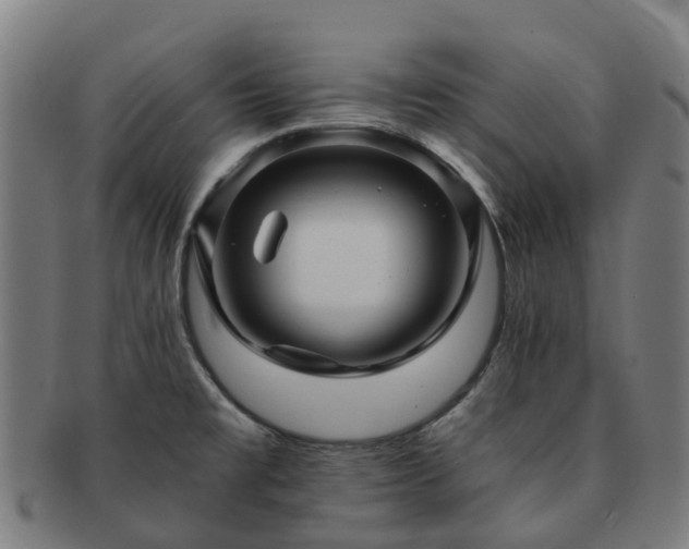 X0000091711477200708311104